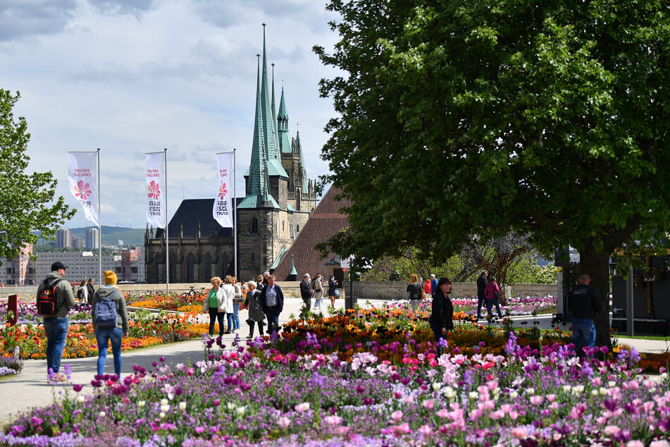 Besucher gehen über das Gelände der Bundesgartenschau (Buga) im Egapark auf dem Petersberg. Nach der Absage der Buga 2025 in Rostock wird in Thüringen diskutiert, ob sie erneut nach Erfurt kommen könnte. (Archivbild)