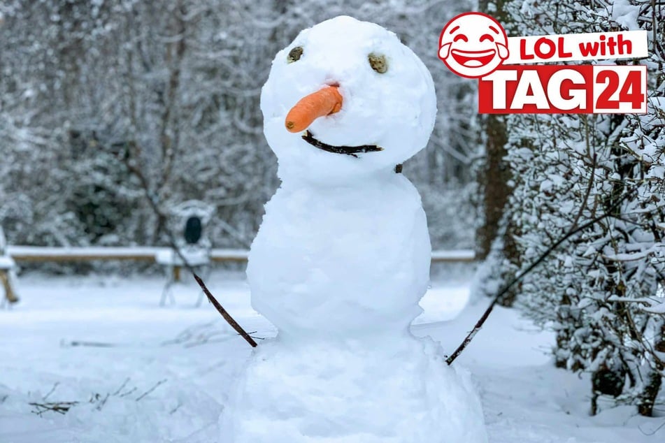 Joke of the Day for February 23, 2026: A chilly silly