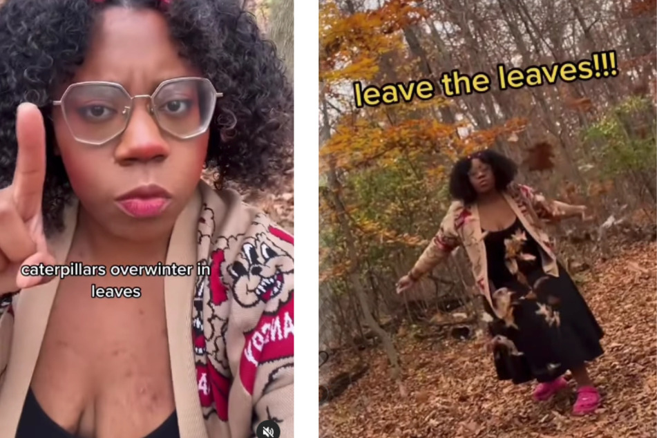 TikToker has an adorable Fall PSA: Leave the leaves!