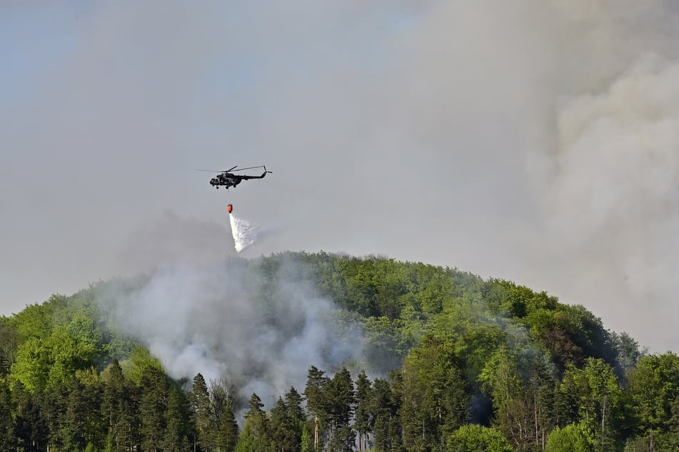 Es gibt fünf Waldbrandgefahrenstufen. Die fünfte Stufte könnte laut DWD etwa im Kreis Meißen (Sachsen) oder im Jerichower Land (Sachsen-Anhalt) erreicht werden. (Symbolbild)