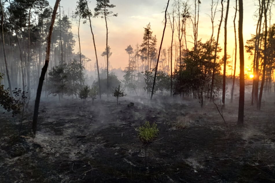 Der Großbrand hinterließ Tod und Verwüstung. Eine Ermittlungsgruppe soll die Brandstifter finden.