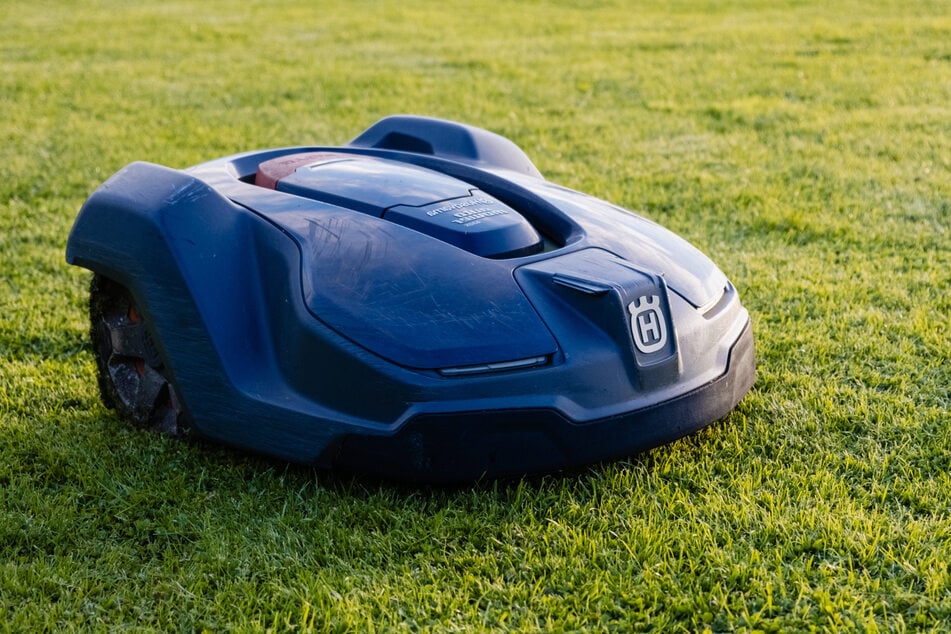 Nahezu geräuschlos nähern sich erbarmungslose Mähroboter ihren stacheligen Opfern. (Symbolbild)