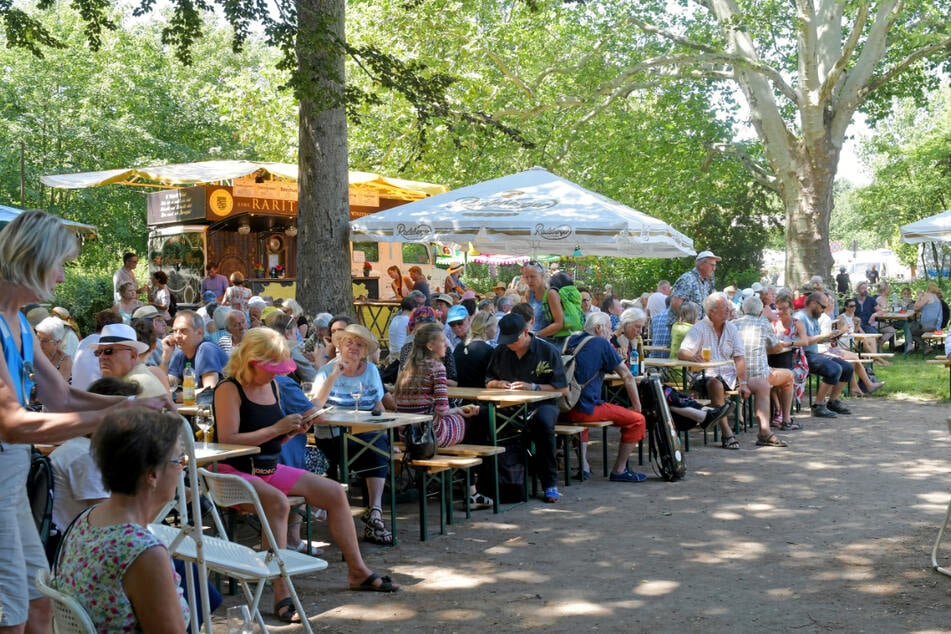 2019 fand das Elbhangfest noch ganz unbeschwert im Weindorf Loschwitz statt.