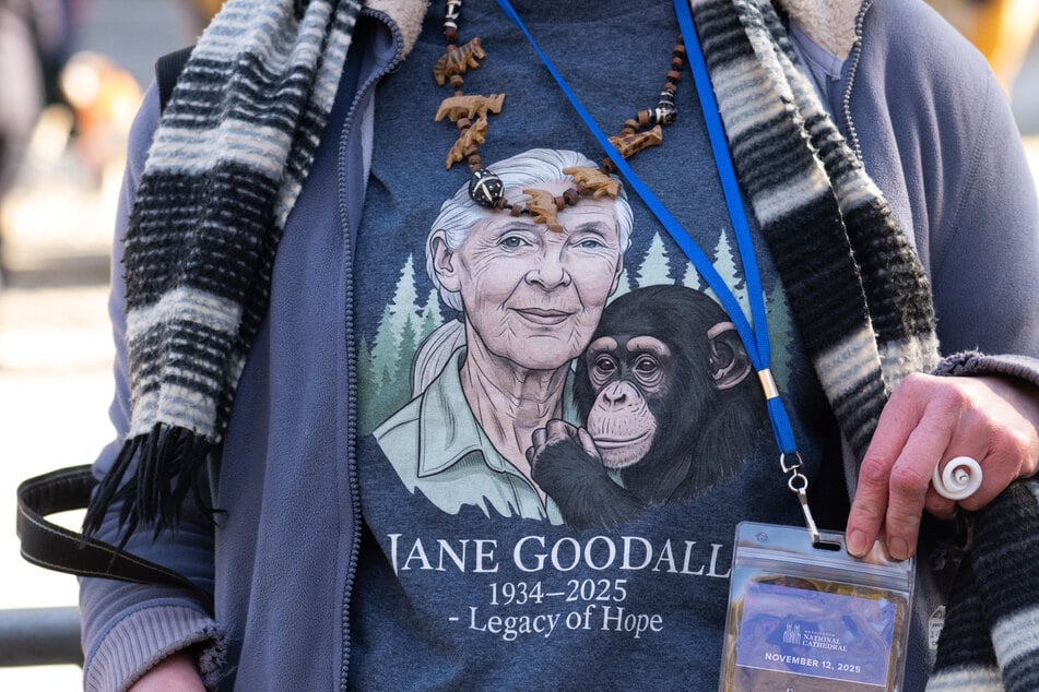 Jane Goodall died last month at the age of 91.