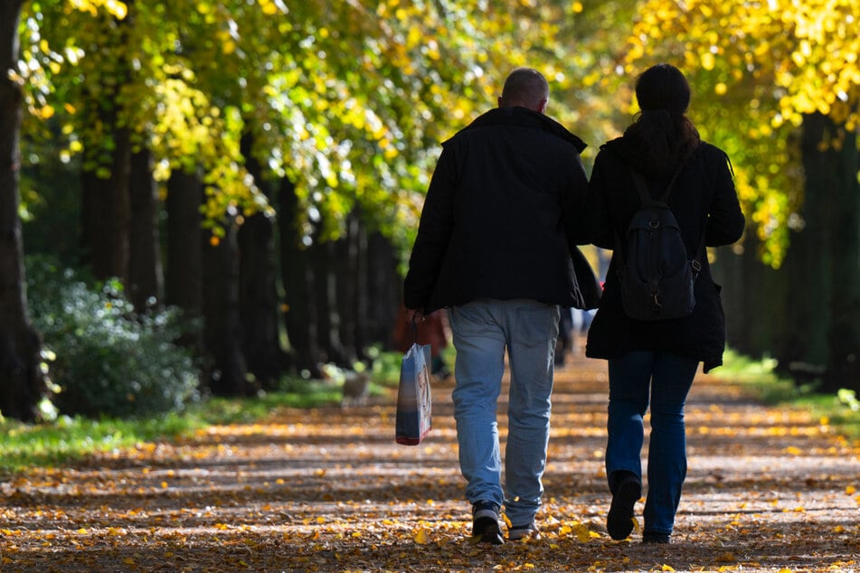 Der goldene Herbst kommt: Temperaturen in Berlin und Brandenburg steigen auf bis zu 22 Grad!