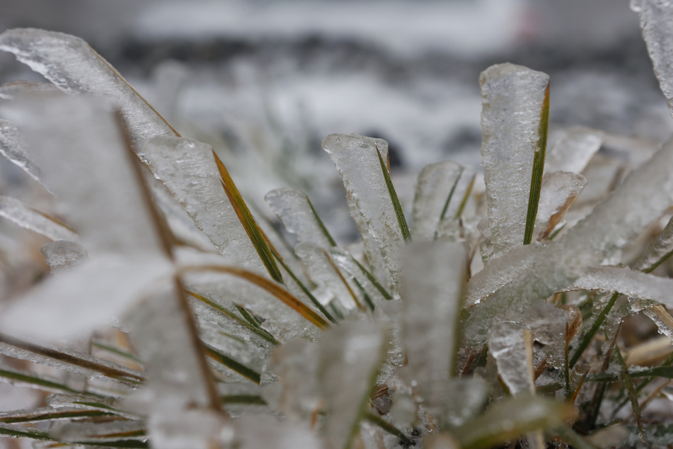 Auf Sachsen-Anhalt wartet ein eisiges Wochenende mit Dauerfrost und Schneeregen.