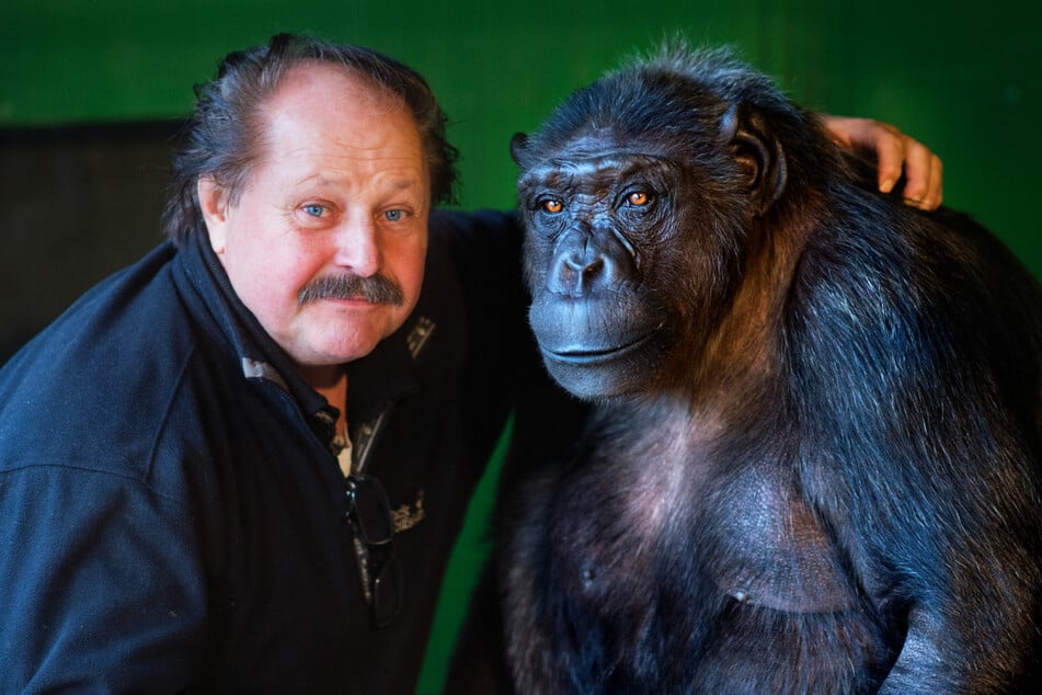 Zirkusdirektor Klaus Köhler und Schimpanse Robby sitzen in Robbys Gehege am Zirkus "Belly". Der bekannte Schimpanse ist am 11. November nach Angaben des Zirkus im Alter von 51 Jahren gestorben. (Archivfoto)
