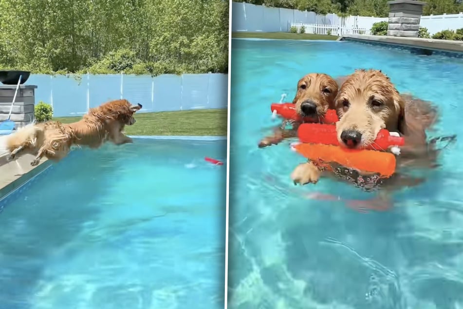 Tucker und Todd kommen voll auf ihre Kosten. Das Warten auf den Pool hat sich für beide gelohnt.