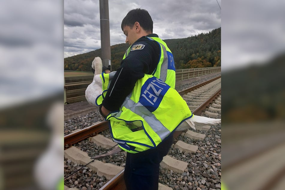 Die Bundespolizei griff beherzt ein und rettete den gefiederten Freund.