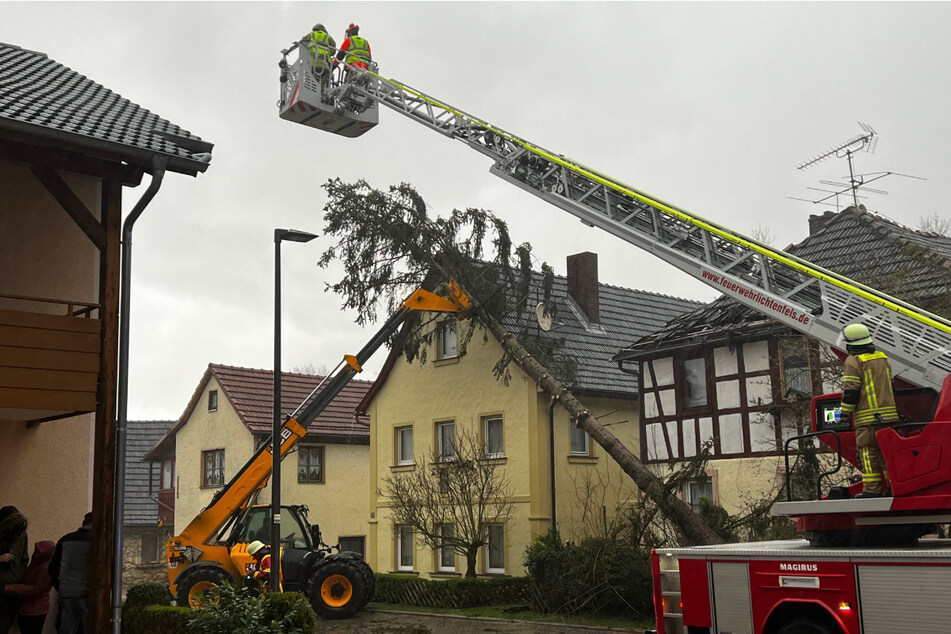 In oberfränkischen Lichtenfeld stürzte ein Baum auf ein Haus.