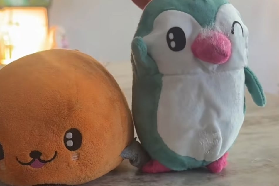 Überraschung: In der Robbe steckte ein grüner Pinguin.