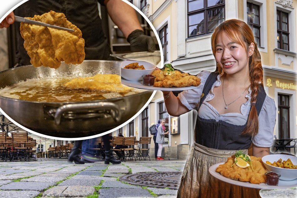 Dresden: Ausgezeichnet vom Gourmet-Magazin: Das Geheimnis der Wiener Schnitzel im "Augustiner"