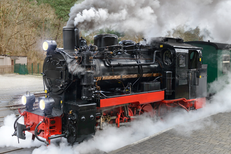Historische Lokomotiven gibt es hier zu bestaunen (Symbolbild).