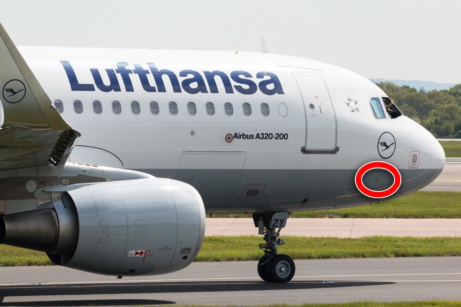 Kleines Tier verursacht großes Problem: Lufthansa-Flieger muss umkehren!