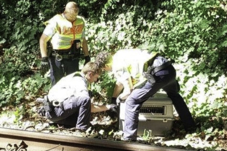 Hamburg: Tierischer Einsatz für die Bundespolizei: S-Bahn lahmgelegt