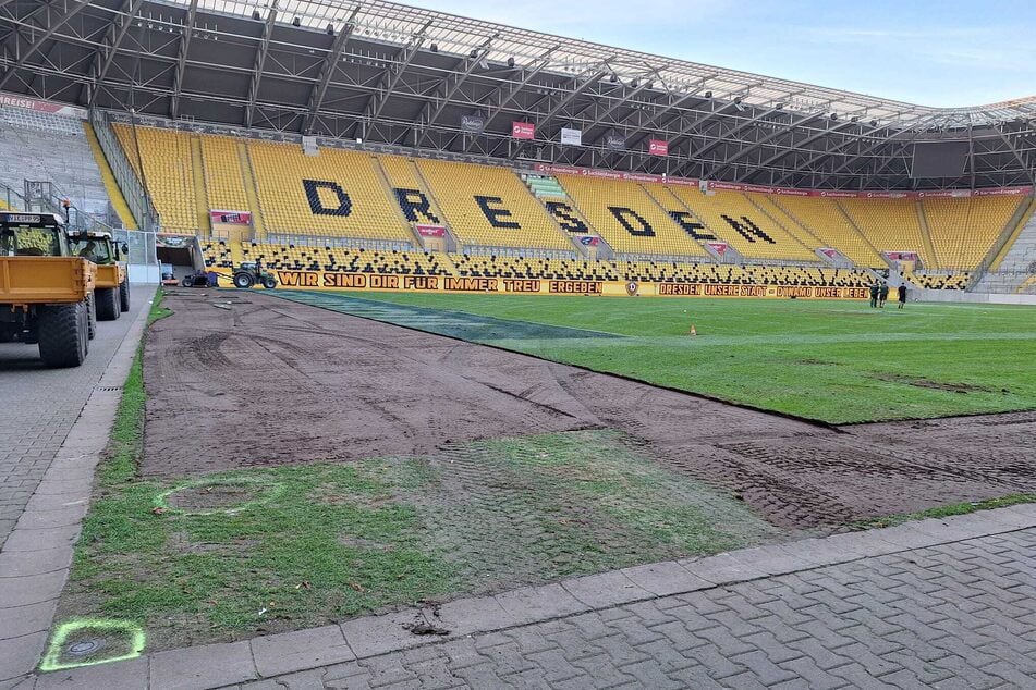Die ersten Meter Rasen im Rudolf-Harbig Stadion sind schon abgetragen.