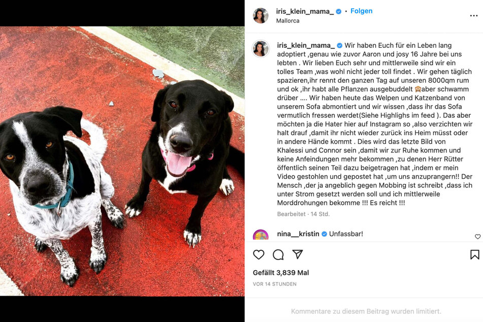 Iris Klein (55) reagierte bei Instagram auf die Vorwürfe von Martin Rütter (52).