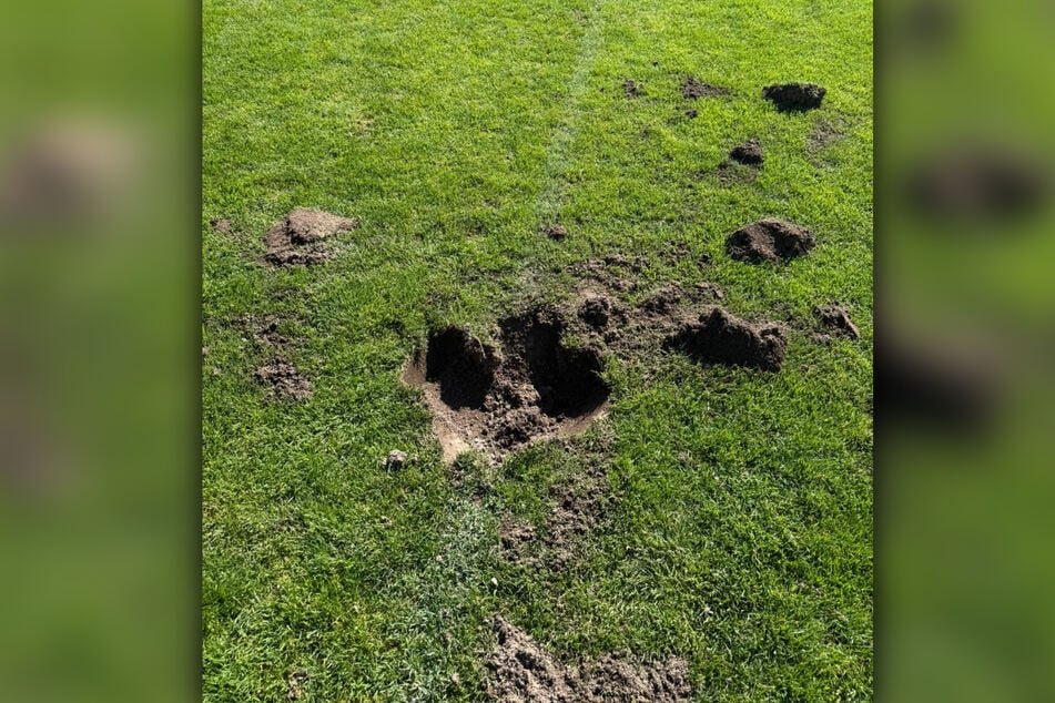 Über den Naturrasen verteilt gruben die Vandalen Löcher.