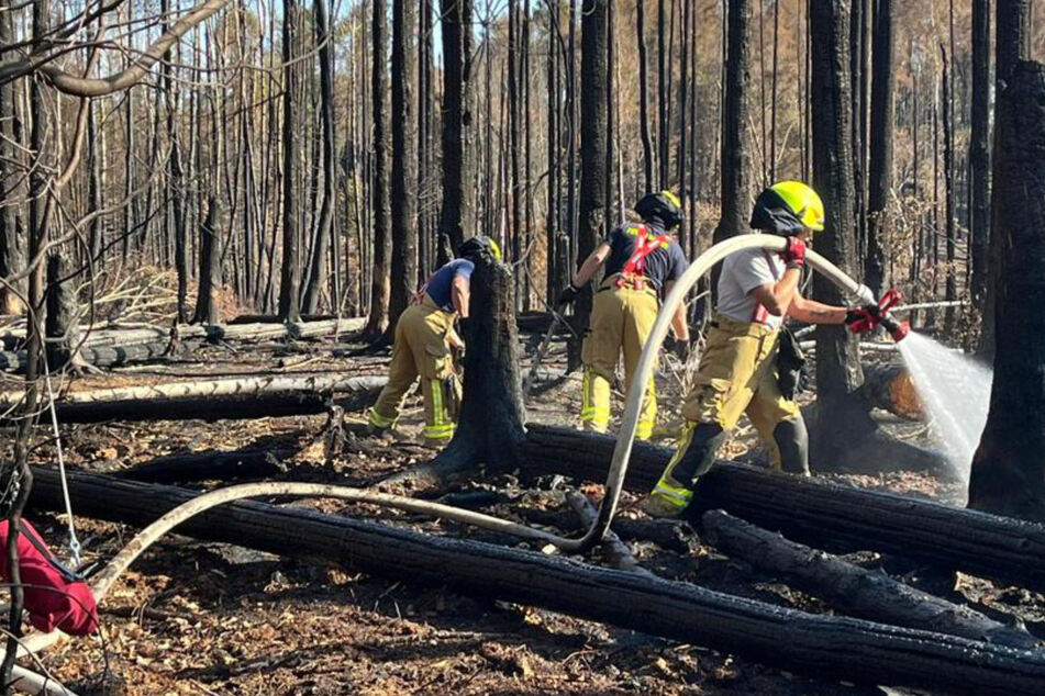Waldbrand Sächsische Schweiz: Feuerwehr aus Borna berichtet über Extrem-Situation