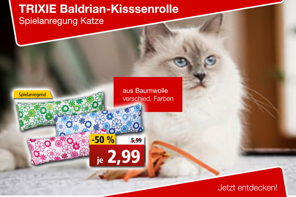 TRIXIE Baldrian-Kissenrolle