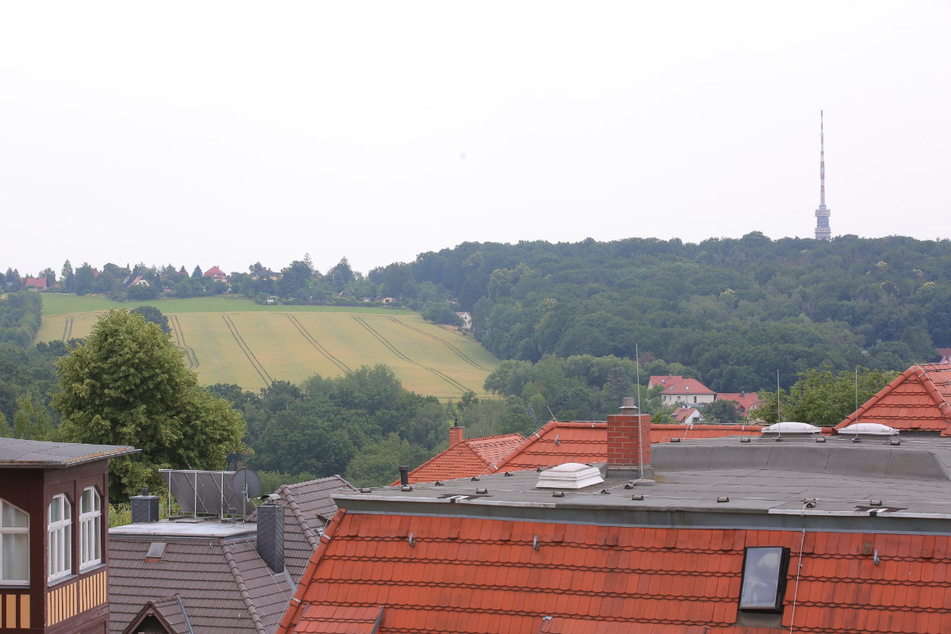 Der Hubschrauber war unter anderem in den Stadtteilen Rochwitz und Pappritz zu sehen.