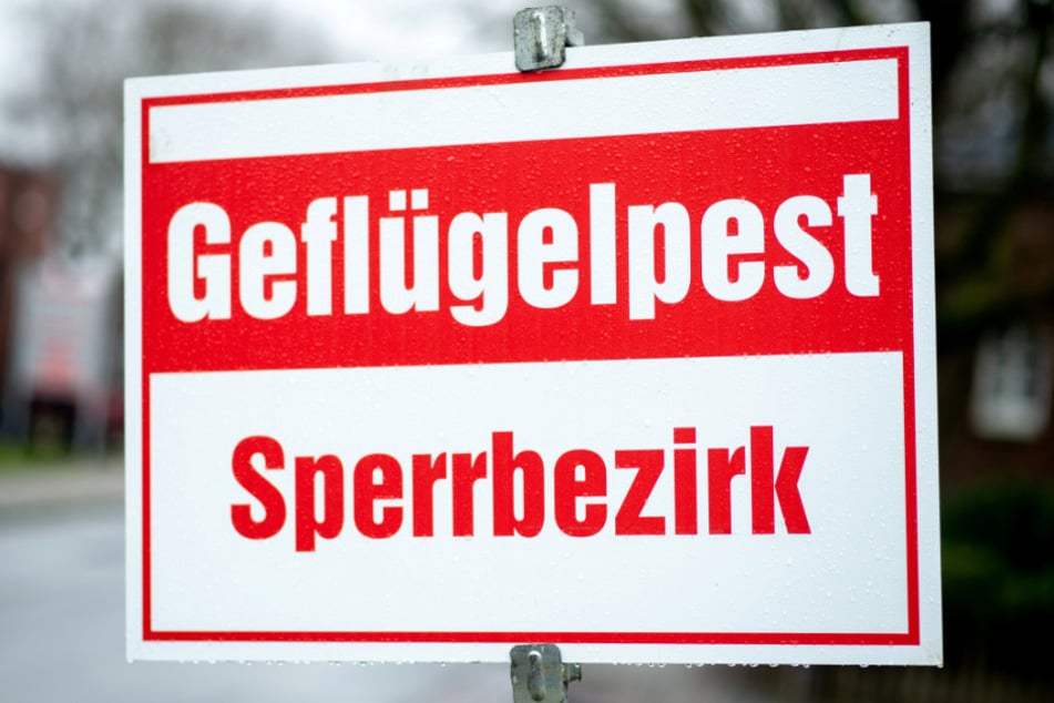 Da es sich bisher um einen Einzelfall handelt, gibt es bisher keine weiteren behördlichen Auflagen.