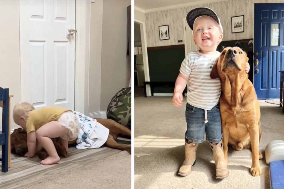 The two-year-old's kindness has inspires millions on the internet.