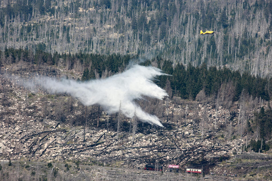 Im Harz kommt es durch fahrlässige Verursacher öfter zu Waldbränden. (Archivfoto)