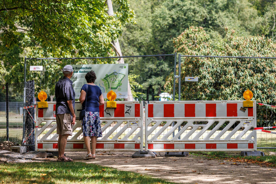 Im Großen Garten entsteht an historischer Stelle eine neue Baumschule.