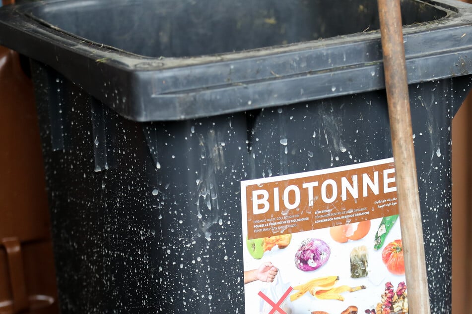 Berlin: Müll-Sünder aufgepasst! Harte Kontrollen bei Biotonnen in Berlin und Brandenburg