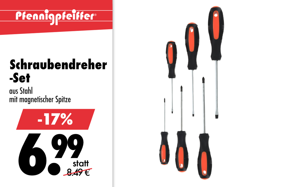 Schraibendreher-Set