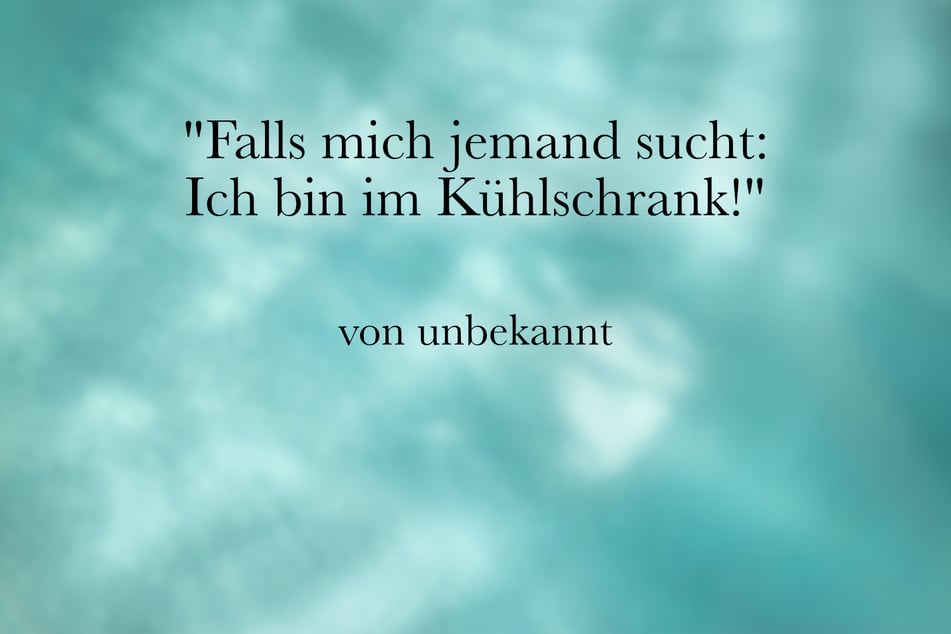Ein lustiger Spruch über die Hitze im Sommer ist: "Falls mich jemand sucht: Ich bin im Kühlschrank!"