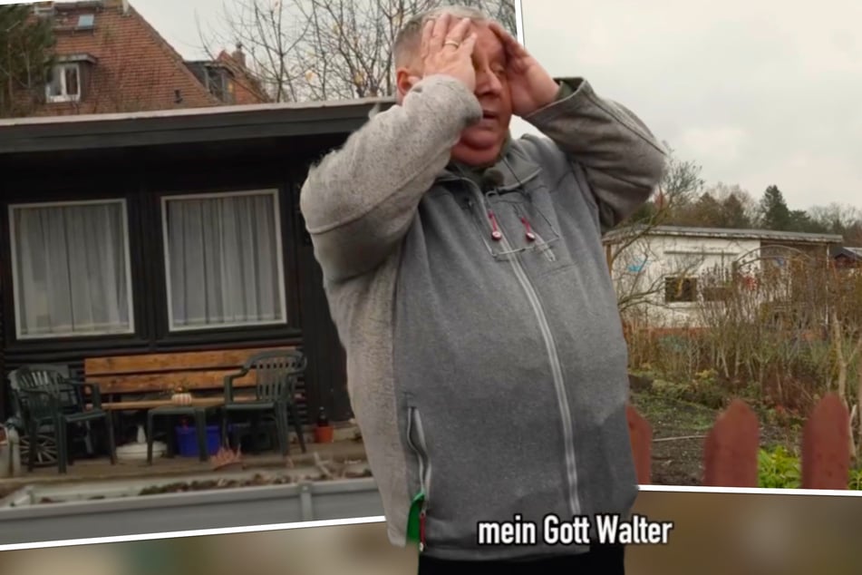 "Mein Gott Walter": Kleingartensheriff ist schockiert als er diese Lauben sieht