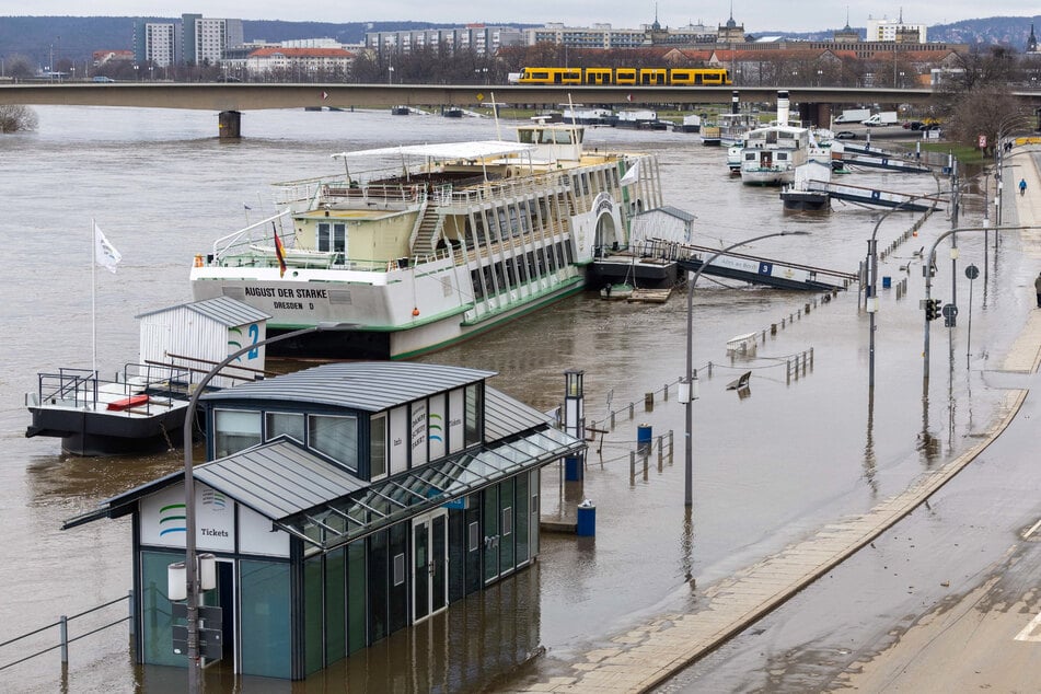 Dresden: Hochwasser zieht sich zurück: Terrassenufer wieder frei!