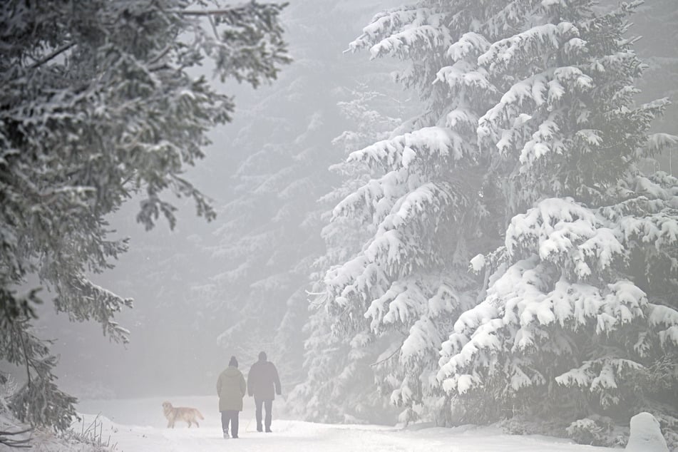 Wird's diesen Winter mehr schneien als im Vorjahr?