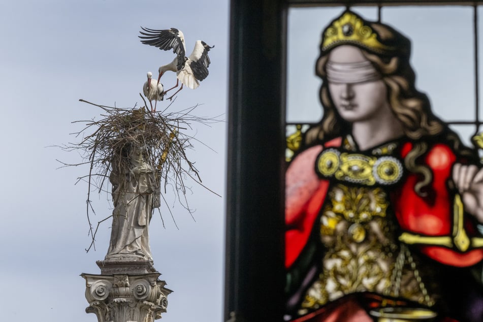 Nest zu Lasten Mariens: Die Statue soll bereits erste Schäden durch das Baumaterial erlitten haben.
