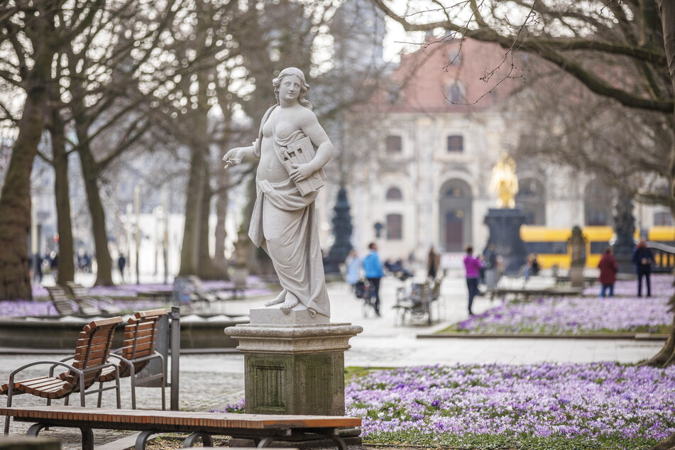 Auf der Hauptstraße blühen jetzt Blumen und Kunst.