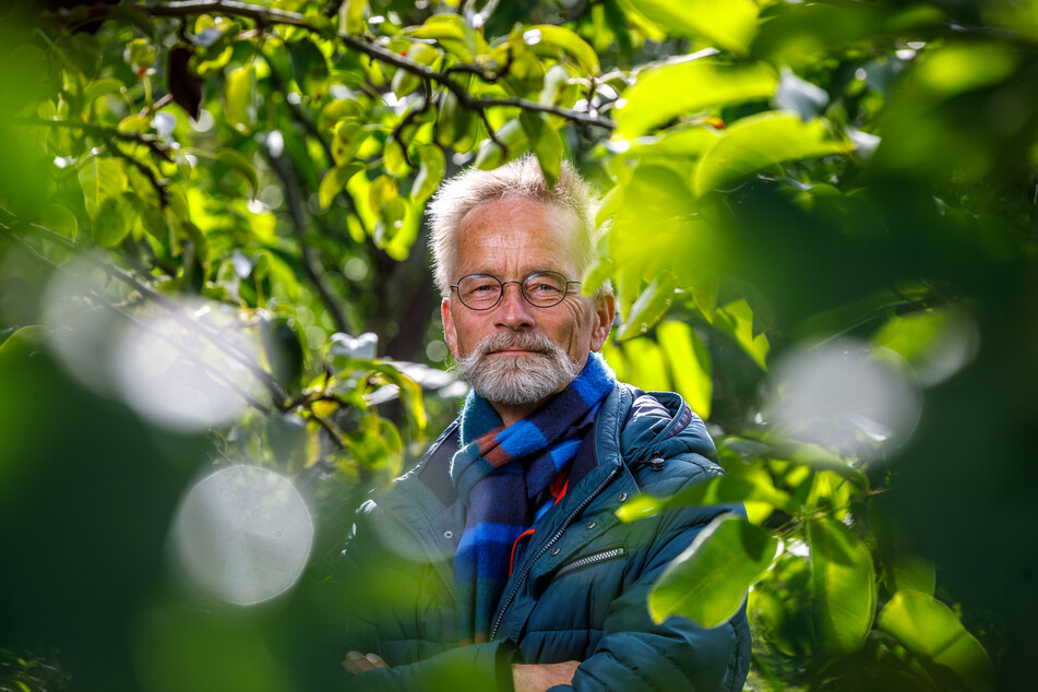 TU-Professor Andreas Roloff (67) kann das Phänomen der blühenden Kastanien erklären.