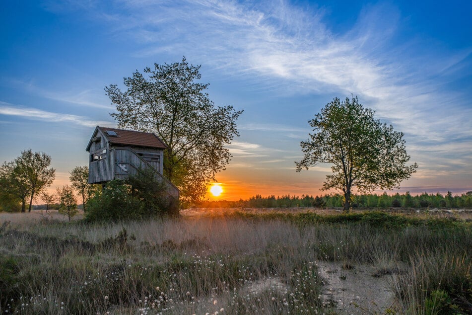 Mit dem strahlenden Sonnenaufgang im Recker Moor hat es Hans Bensmann aus Recke auf den zweiten Platz geschafft.
