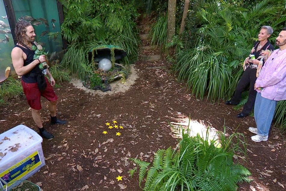 Sein hoch konzentriertes Tauchen wird mit acht von zehn Sternen belohnt.