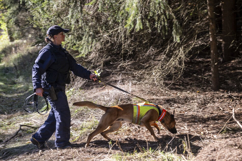 Leichenspürhund Manni aus Bayern auf der Suche nach einer Spur vom Vermissten.