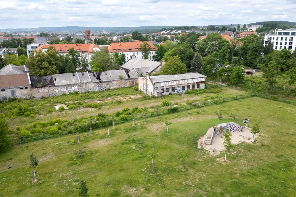 Die Stadt plant auf dem ehemaligen "Russensportplatz" eine Fläche für Fußball, Basketball und Volleyball. Sogar Streetball- und Tischtennisspieler sollen ihren eigenen Bereich bekommen.