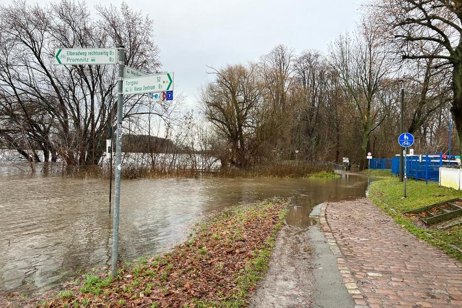 In Riesa flutet die Elbe bei einem Pegel von 5,81 Metern den Stadtpark.