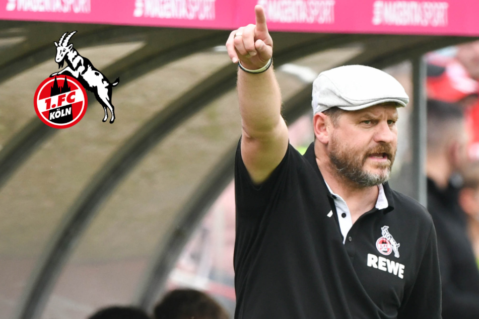 1. FC Köln: Trainer Baumgart erhält Auszeichnung für diesen flotten Spruch