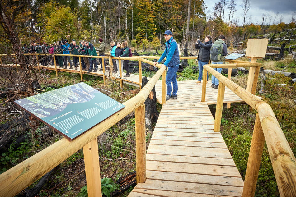 Der Naturerlebnispfad "Weg zur Wildnis" bei Schmilka. Die Nationalparkverwaltung unterhält insgesamt 400 km Wander- und 50 km Radwege.