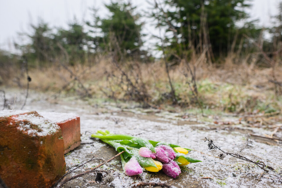 Blumen liegen auf dem Brachgelände in Wunstorf, wo im Januar die Leiche des 14-Jährigen gefunden wurde.