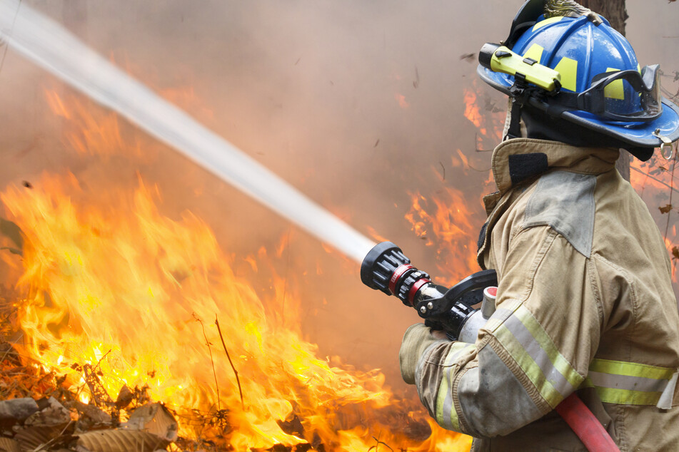 California's McKinney fire had grown to around 300 acres by Friday night, officials said (stock image).