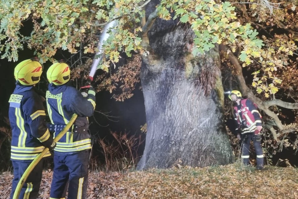 Leipzig: 25-Meter-Baum im Landkreis Leipzig brennt: Polizei ermittelt