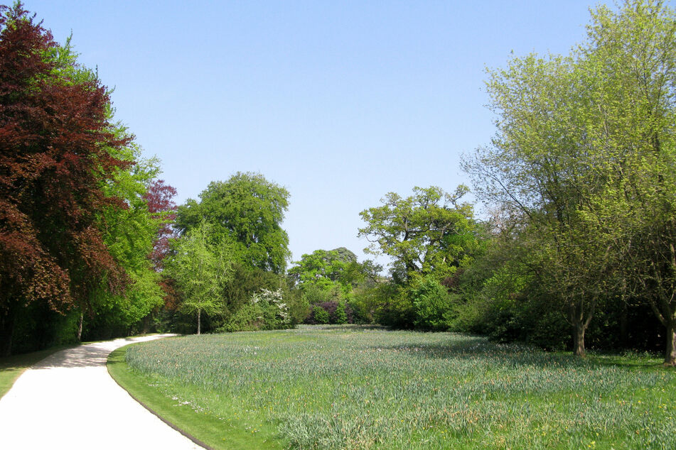 The incident occured in a local park in London (stock image).