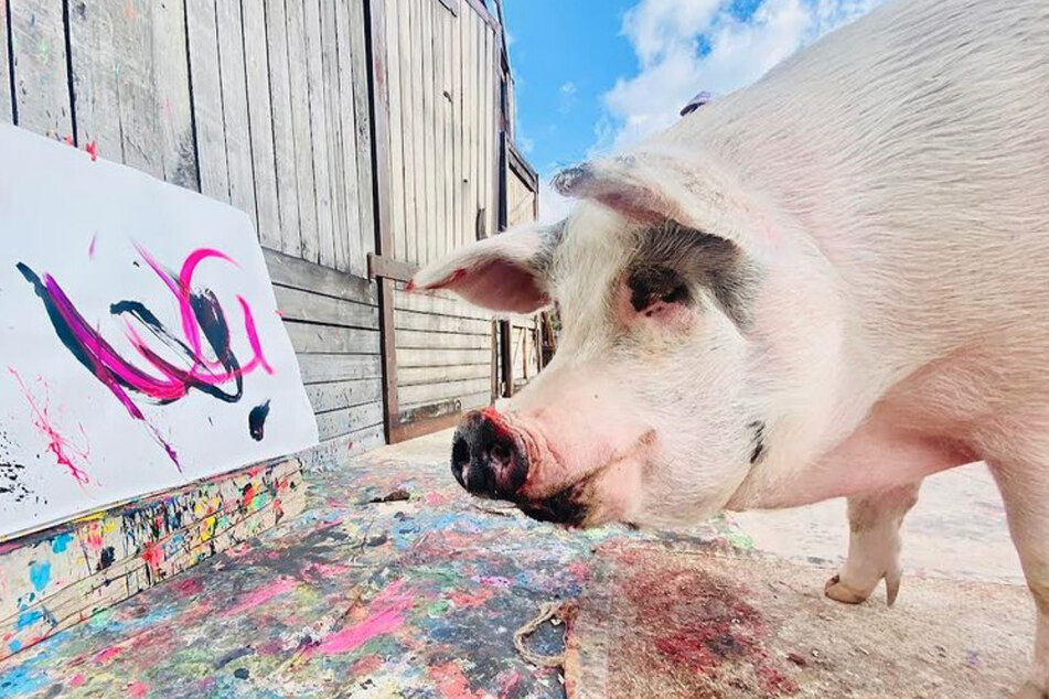 Pigcasso stands next to her artwork entitled Pink Wonder.